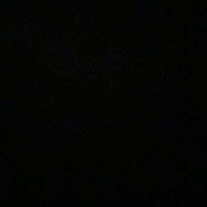 Meet your Posher, Maxx